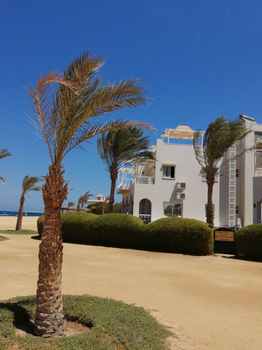 Außenansicht Desert Rose