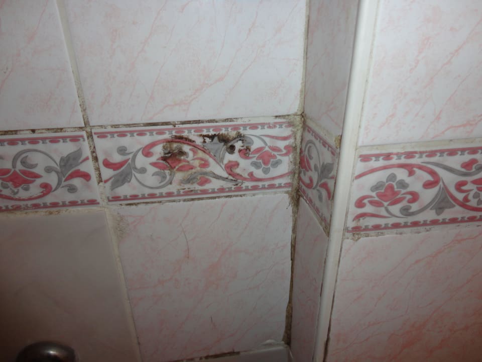 Грибок на стенах в душе Hotel Sea Time Club