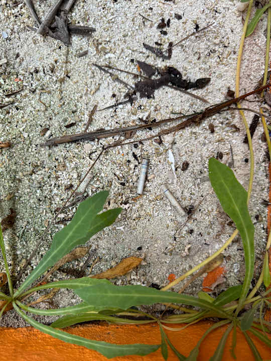 Zimmer Meeru Maldives Resort Island