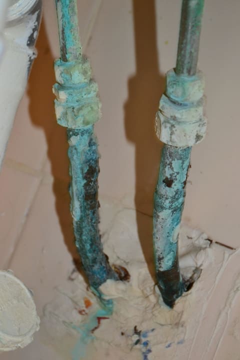 Extrem giftiger Grünspan  Houda Golf & Beach Club