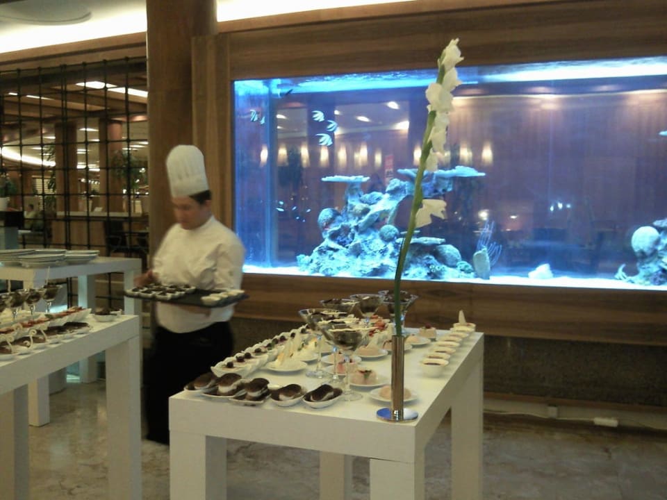 Hübsch gestaltete Darbietung der Speisen Gloria Serenity Resort