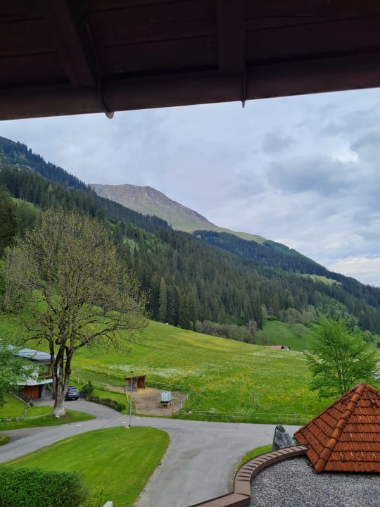 Ausblick Hotel Gasthof Stern