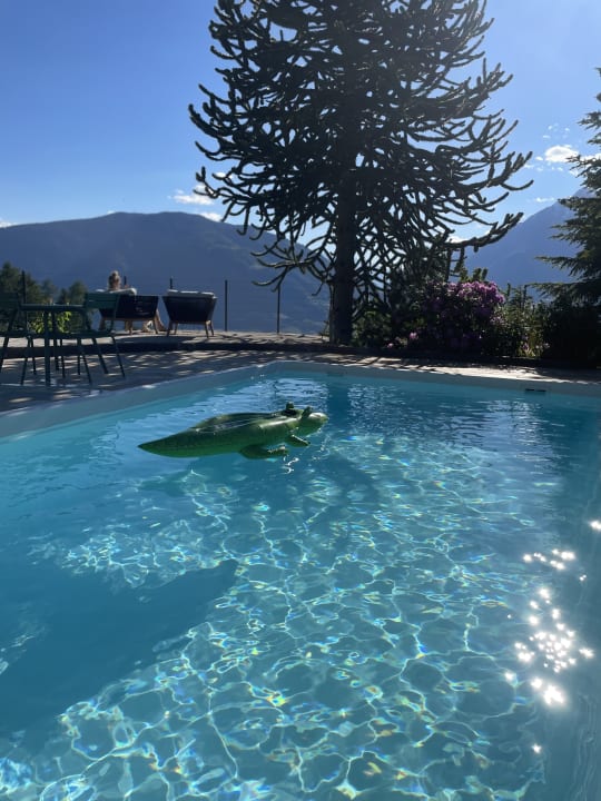 Pool Appartement Michael am Waal