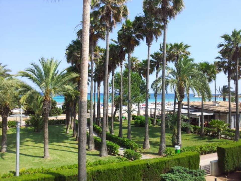 Meerblick Hipotels Mediterraneo Club