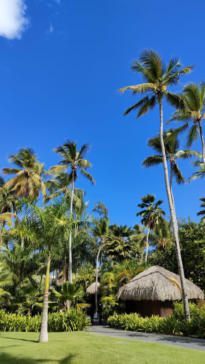 Gartenanlage Impressive Premium Punta Cana