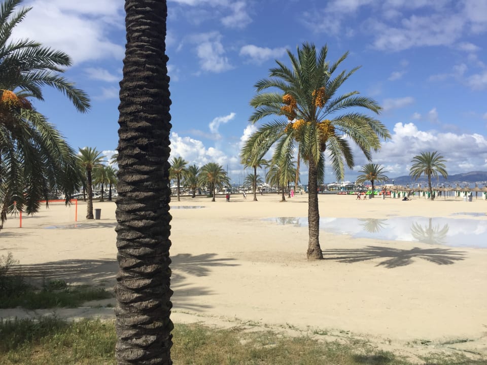 Strand HSM Reina del Mar