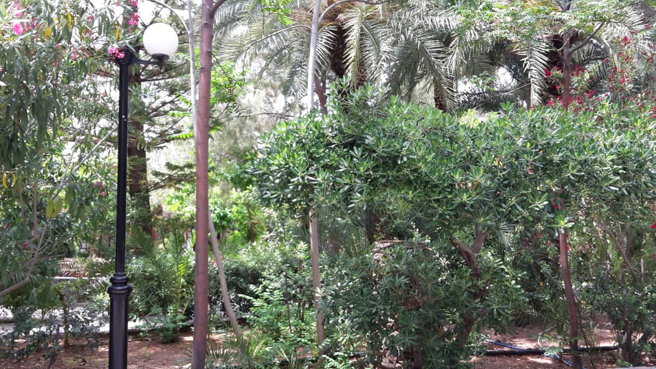 Gartenanlage Apollonia Beach Resort & Spa