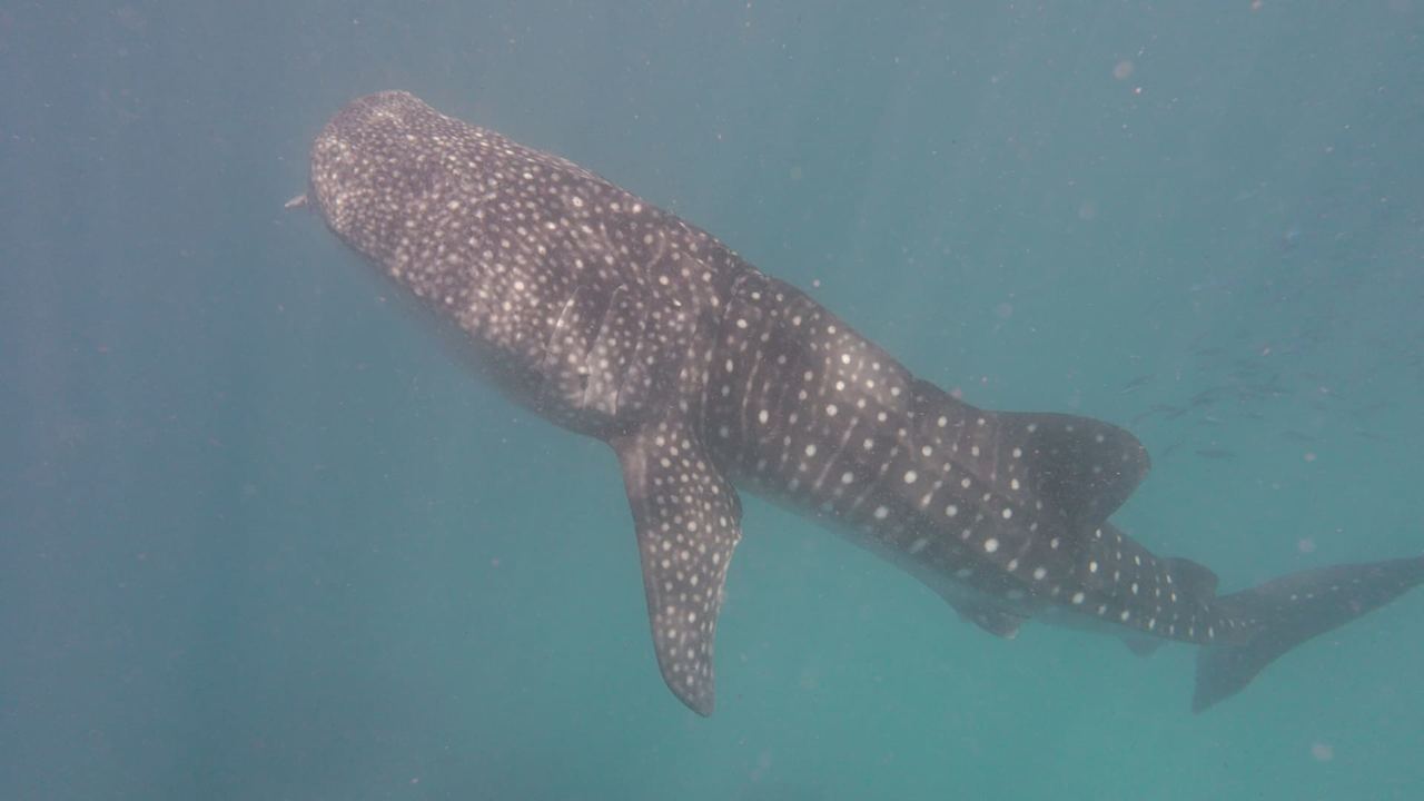 Sonstiges Dreamland The Unique Sea & Lake Resort / Spa