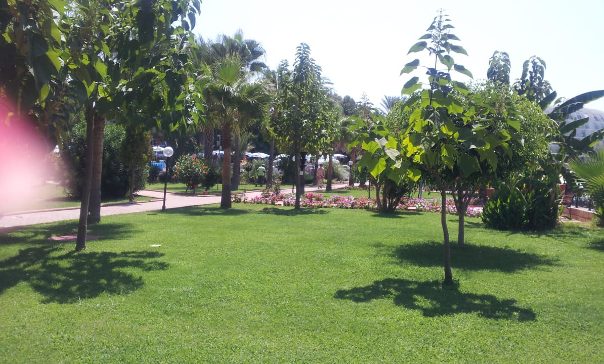 Garten Lonicera Resort & Spa Hotel