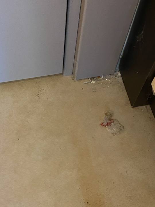 Zimmer Hotel Orfeus Park