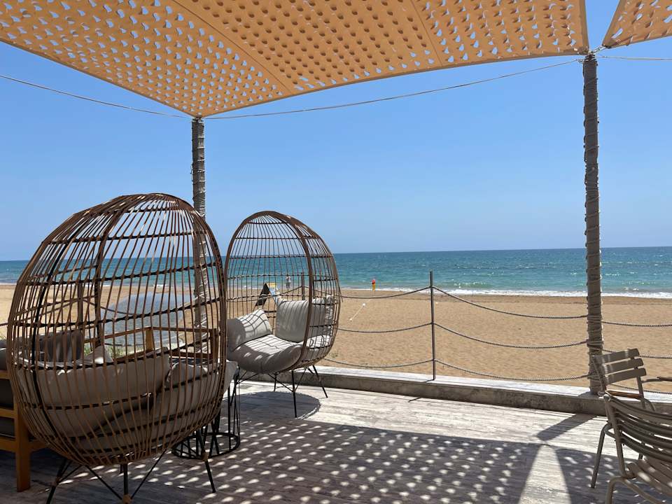 Strand Seashell Vega