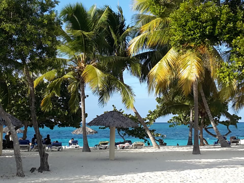 Strand Sol Rio De Luna y Mares