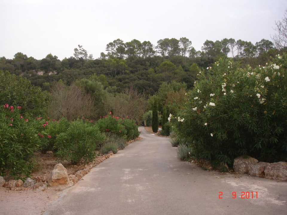 Blick Richtung Tor Finca Can Pina
