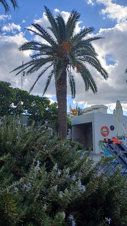 Pool allsun Hotel Bahia del Este