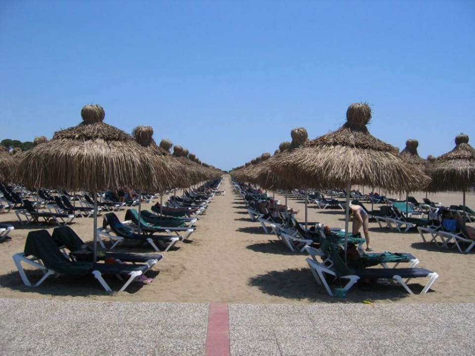 Liegen am Strand bei 2000 Gästen Voyage Belek Golf & Spa