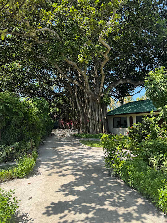 Gartenanlage Adaaran Select Hudhuran Fushi - Premium All Inclusive