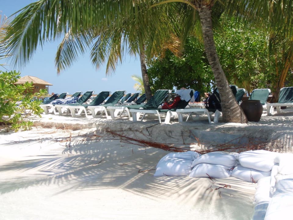 Pool Vilamendhoo Island Resort & Spa
