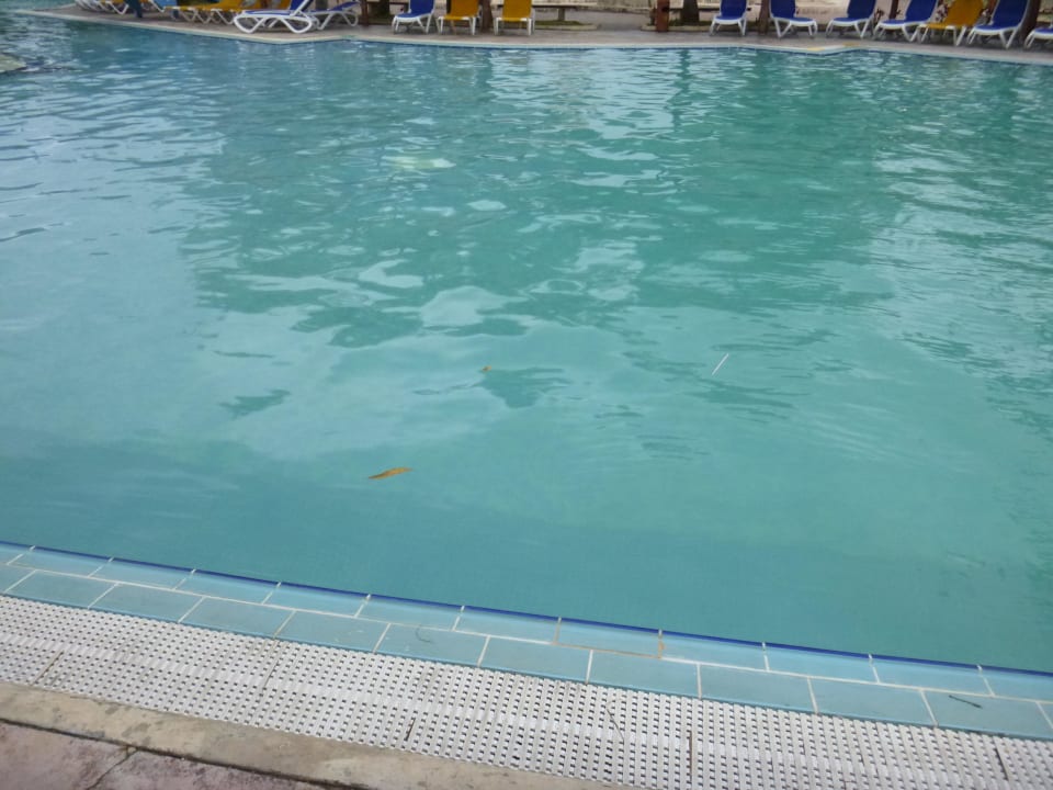 Wasser im Pool  Iberostar Origin Playa Alameda