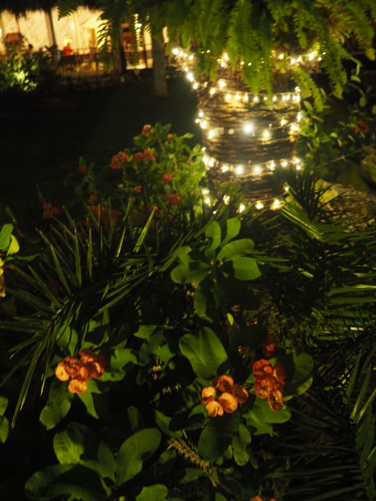 Weihnachtsbeleuchtung Grand Palladium Select Bávaro Resort & Spa