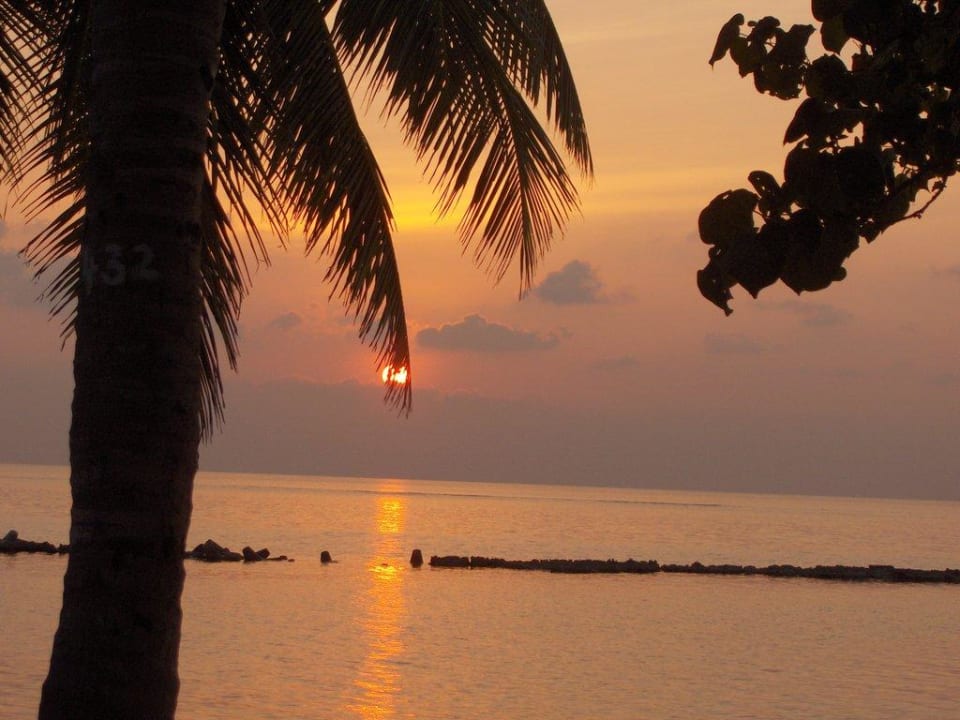 Jeden Abend gegen 18 Uhr - ein Traum! Summer Island Maldives