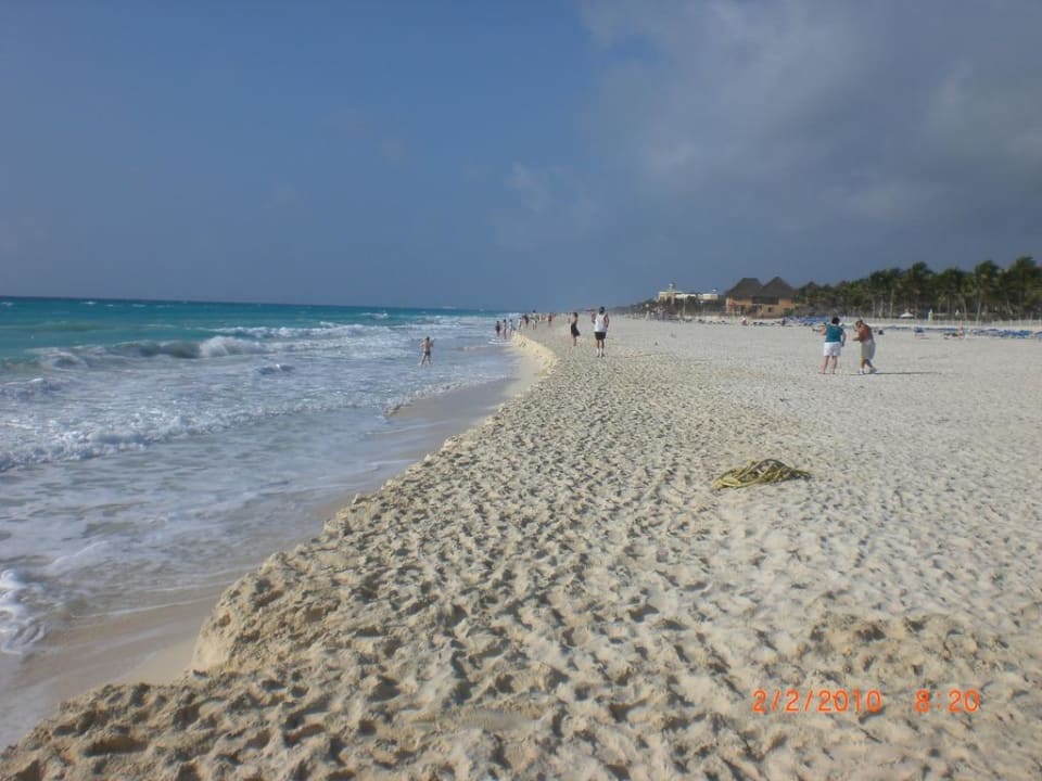 Strand The Reef Playacar