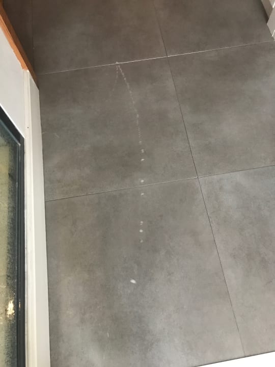 Zimmer Asteria Venus Didim