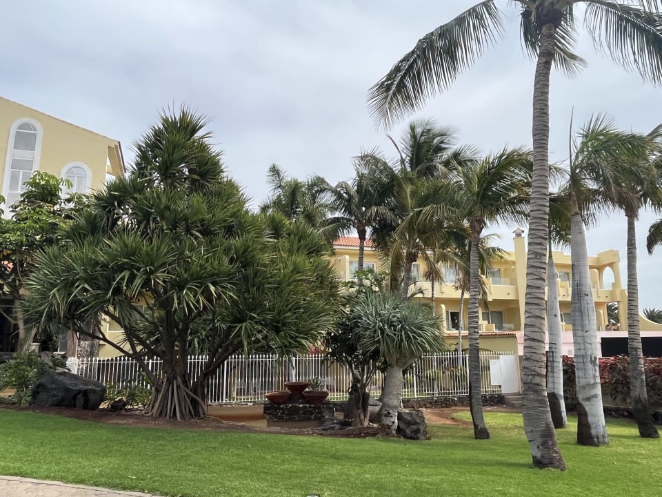 Gartenanlage R2 BUGANVILLA Hotel & Spa