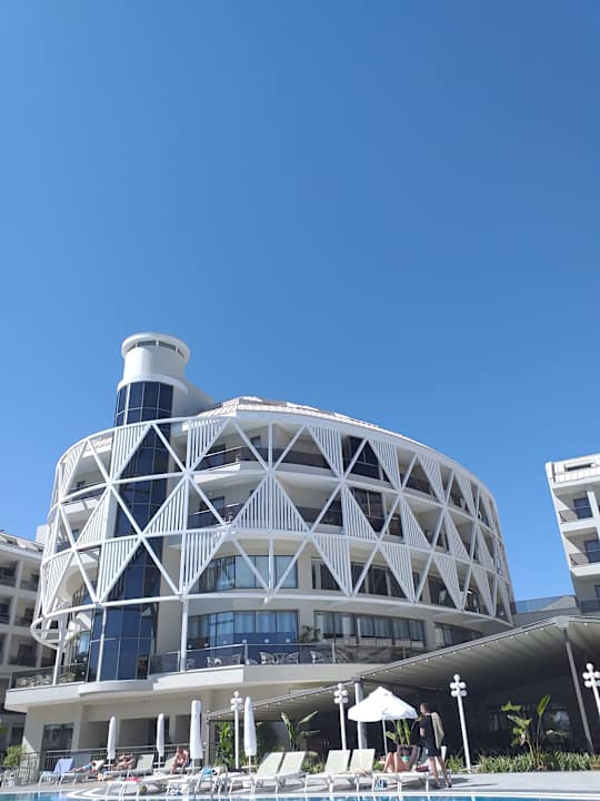 Sonstiges Seashell Vega