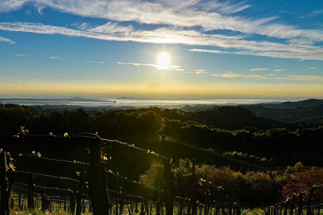 Ausblick Weingut & Buschenschank Pölzl