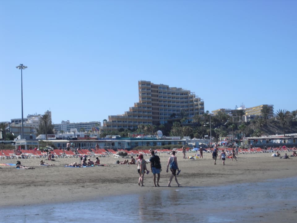 Blick vom Strand bei Ebbe aufs Hotel Corallium Dunamar by Lopesan Hotels