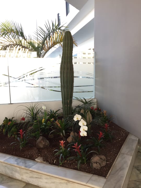 Sonstiges Hovima Costa Adeje - For Cool Adults