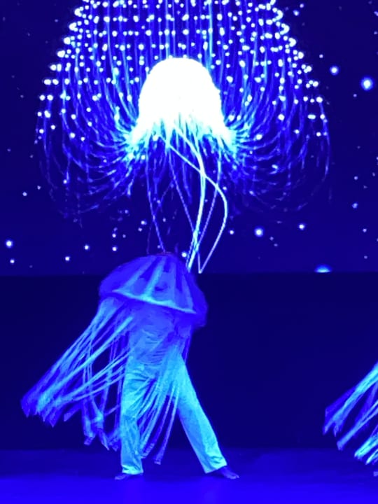 Sonstiges TUI MAGIC LIFE Calabria