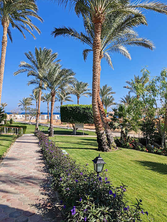 Strand Steigenberger Coraya Beach - Adults only