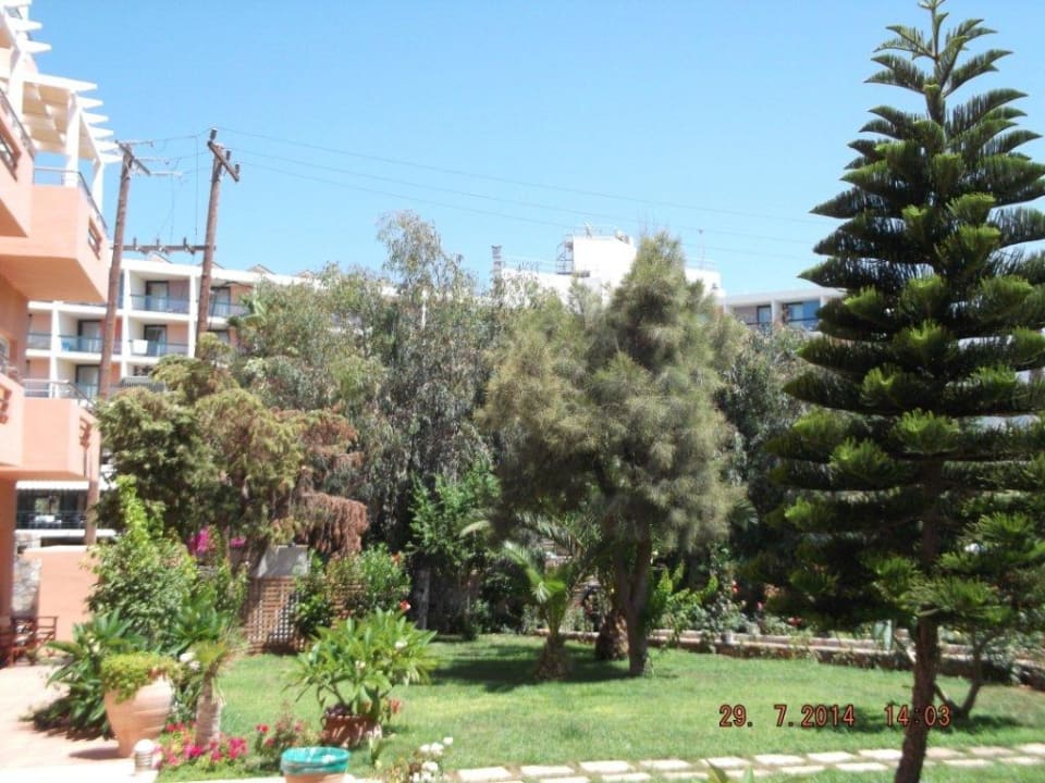 Część ogrodu High Beach Resort