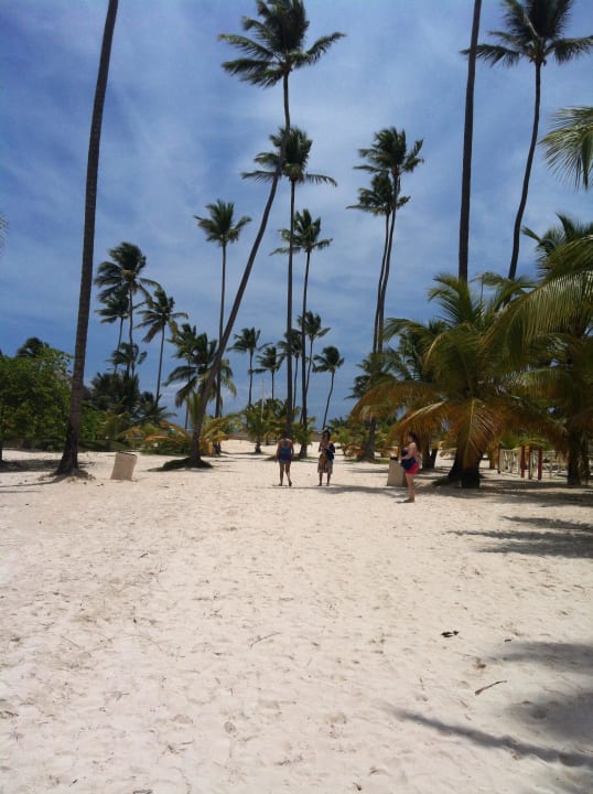 Der Weg zum Strand, einfach traumhaft Villas Bavaro Resort & Spa