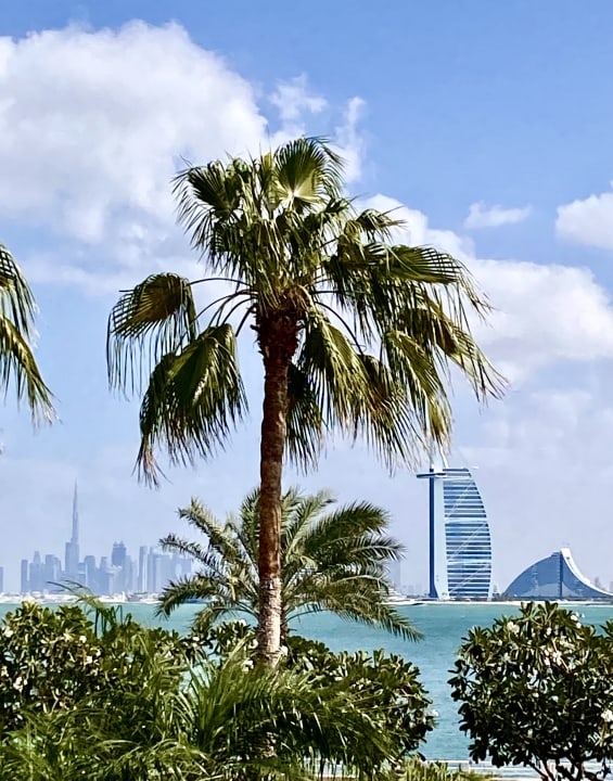 Ausblick Anantara The Palm Dubai Resort