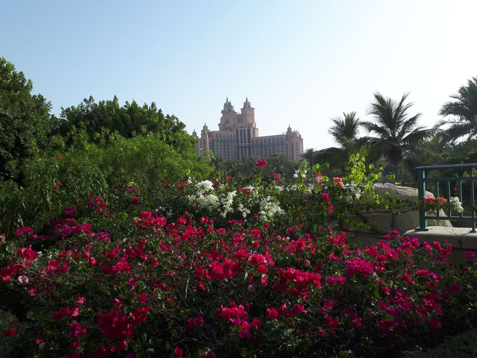 Gartenanlage Atlantis, The Palm