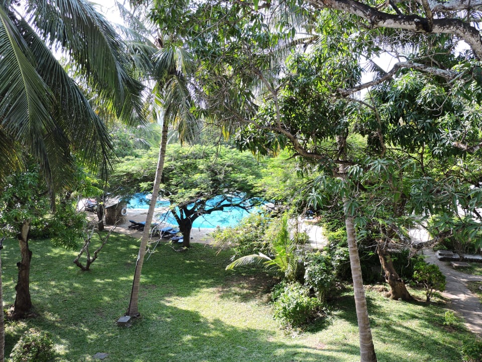 Pool Diani Sea Resort