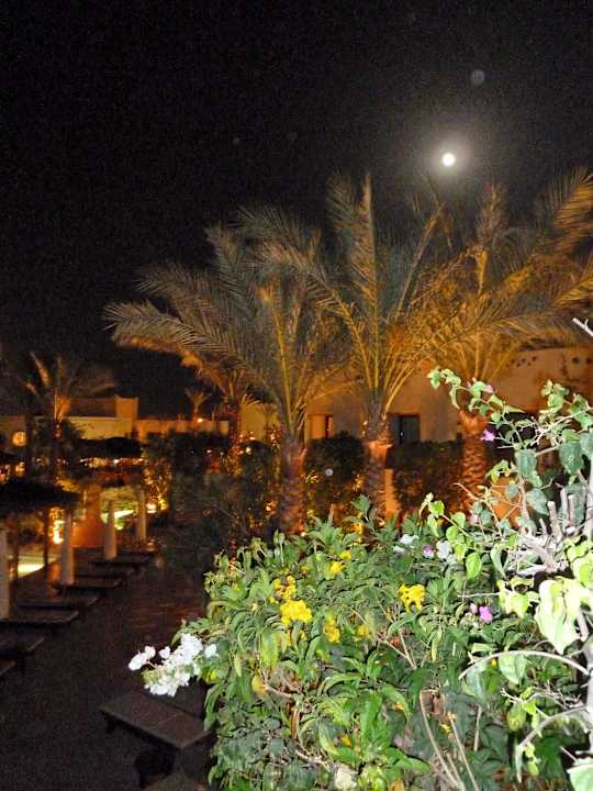 Poolanlage abends Ghazala Gardens