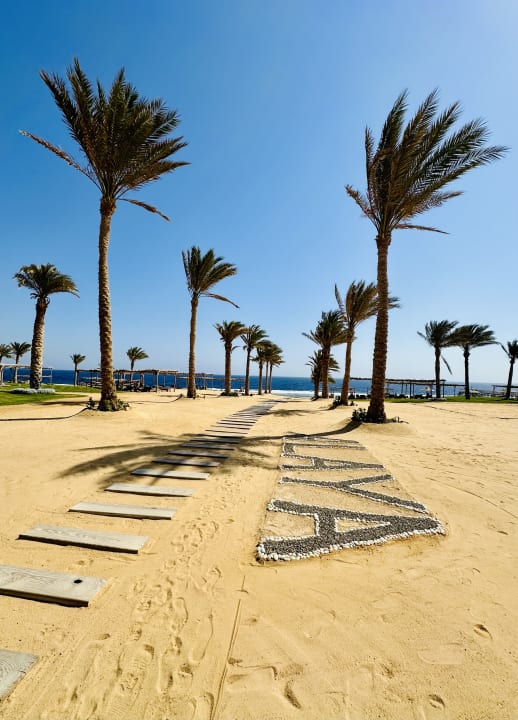 Strand Steigenberger Resort Alaya Marsa Alam - Red Sea - Adults only