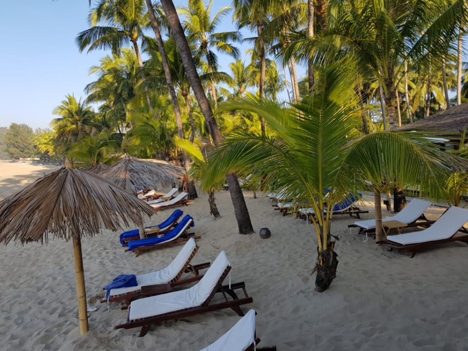Liegen unter Palmen Bayview - the beach resort