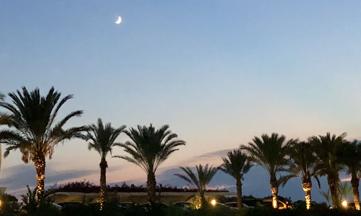 Ausblick Lonicera Resort & Spa Hotel