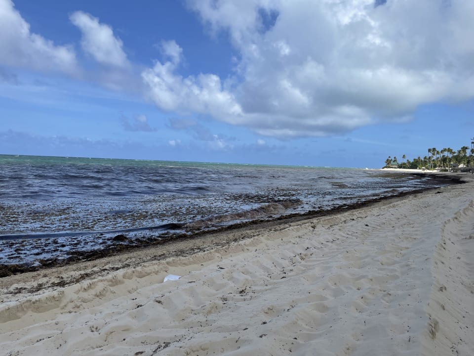 Strand Hotel Riu Palace Punta Cana