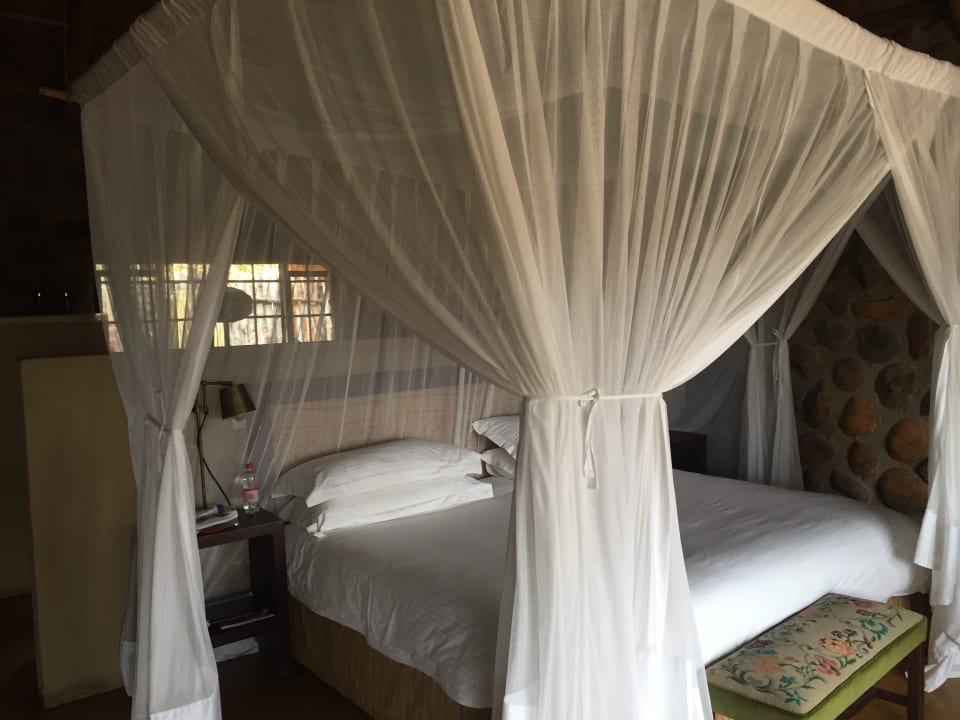 Zimmer Motswari Private Game Reserve & Geiger's Camp