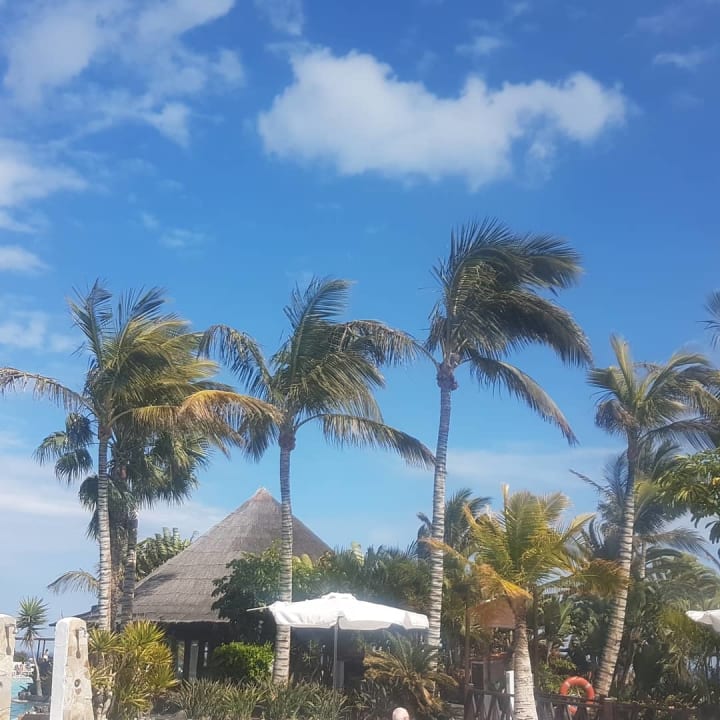 Gastro Club Jandia Princess