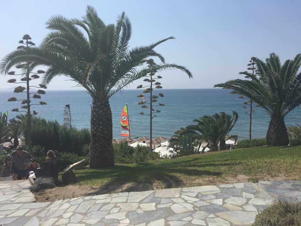 Ausblick ROBINSON DAIDALOS