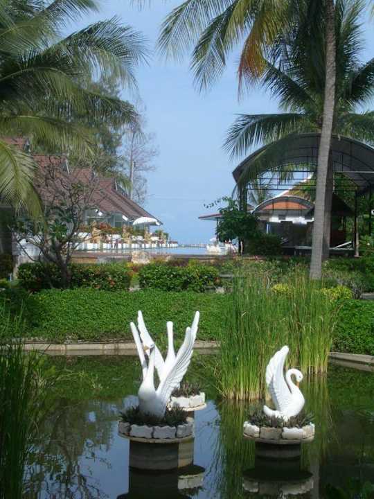 Ausblick auf den Pool Hotel The Privacy Beach Resort & Spa