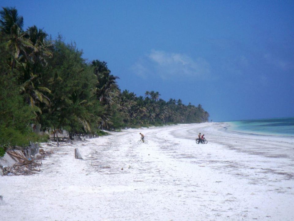 Blick vom Restaurant des Twisted Palms Hotel Twisted Palms Lodge & Restaurant