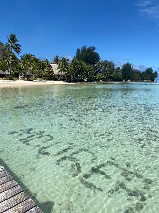 Ausblick Hotel Les Tipaniers
