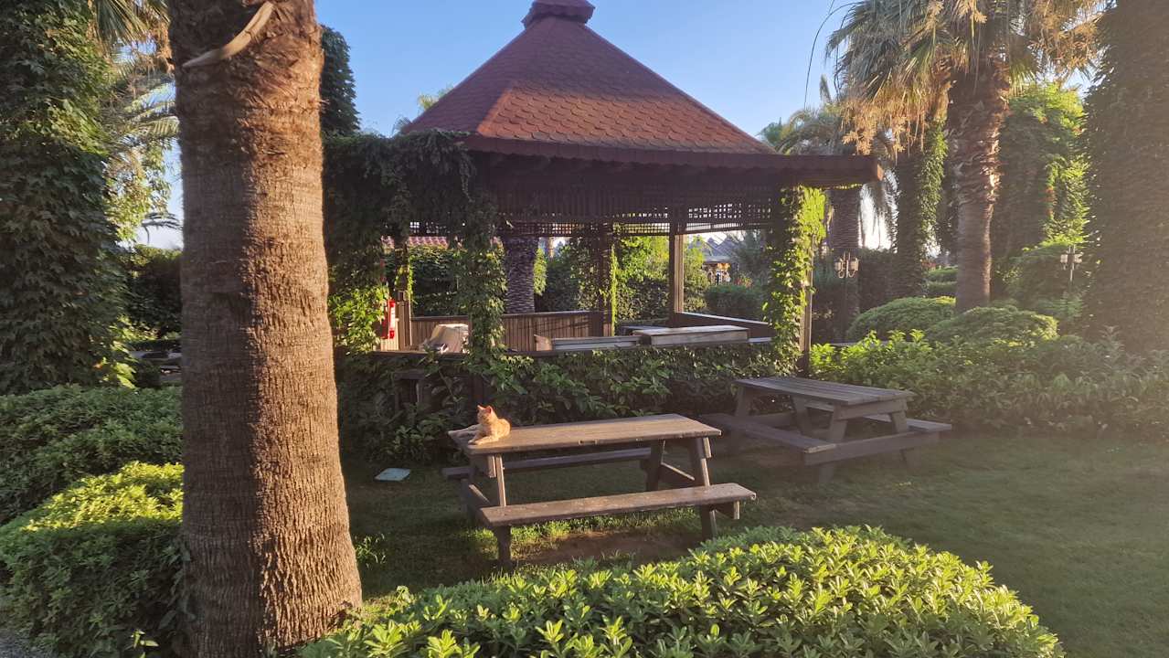 Gastro Paloma Oceana